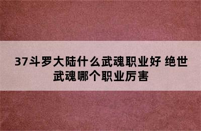 37斗罗大陆什么武魂职业好 绝世武魂哪个职业厉害